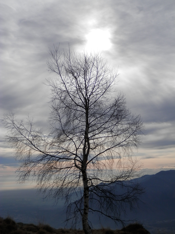 http://www.soledarte.it/images/lanzo/cieli/P1010167.jpg