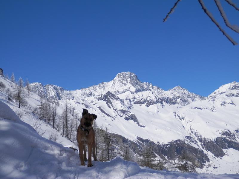 http://www.soledarte.it/images/lanzo/montagna/P4050121.jpg