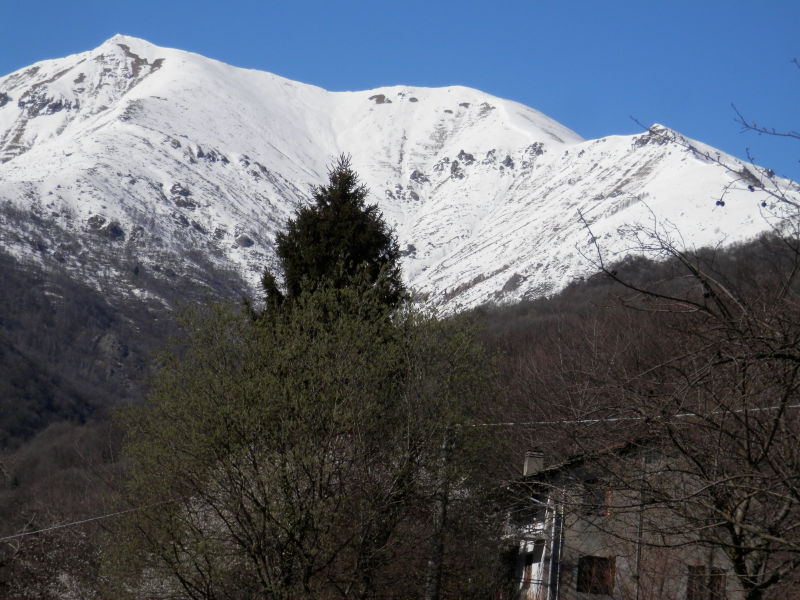 http://www.soledarte.it/images/lanzo/montagna/montagna_05.jpg