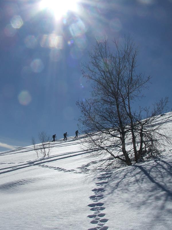 http://www.soledarte.it/images/lanzo/neve/DSCF0625.jpg