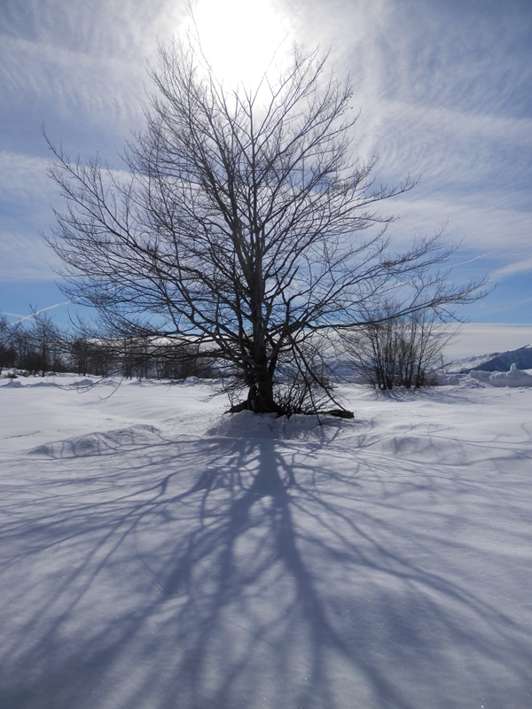http://www.soledarte.it/images/lanzo/neve/P3070038.jpg