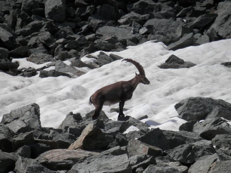http://www.soledarte.it/images/lanzo/neve/P7260122.jpg