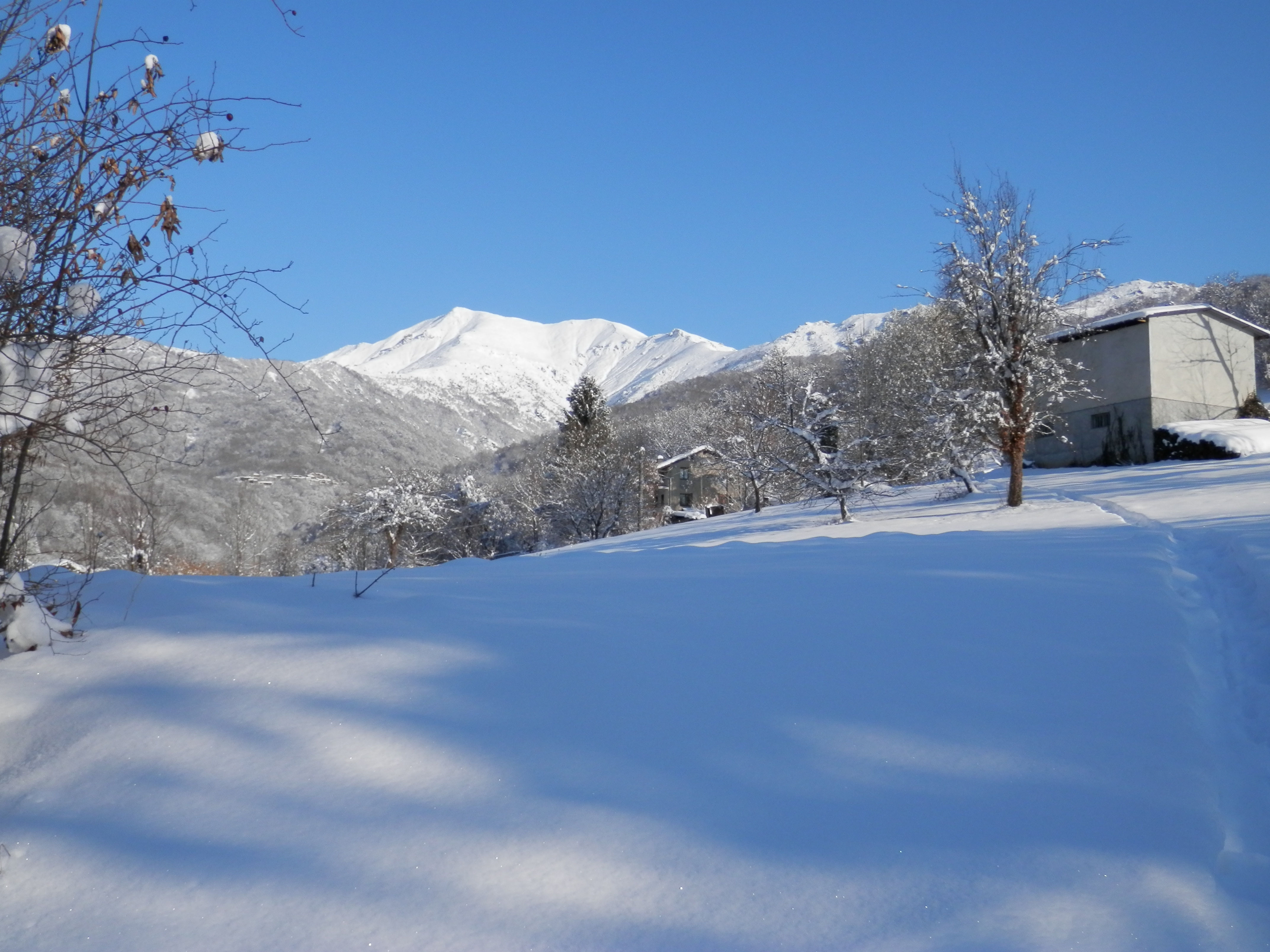 http://www.soledarte.it/images/lanzo/neve/neve_06.jpg