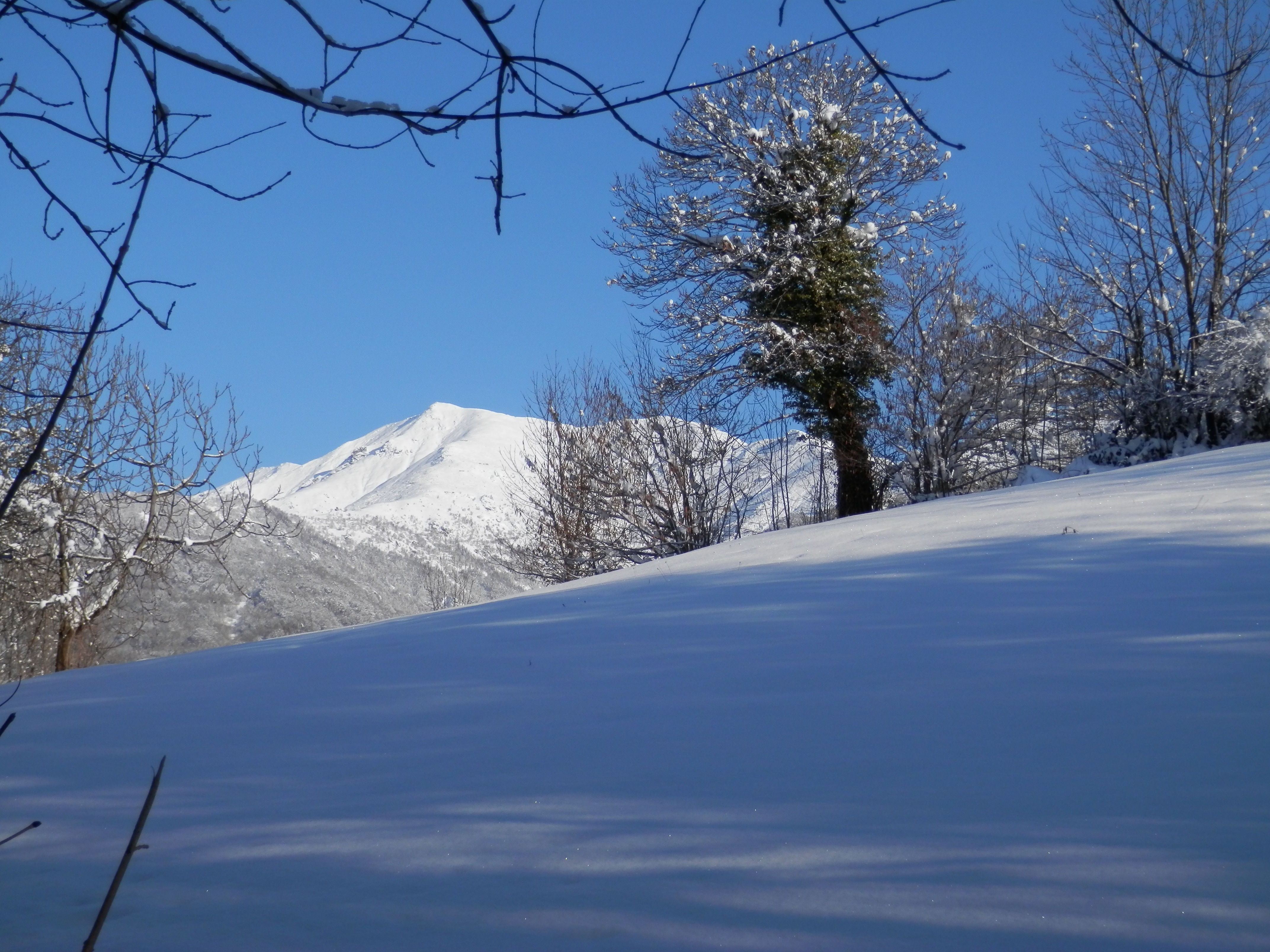 http://www.soledarte.it/images/lanzo/neve/neve_08.jpg