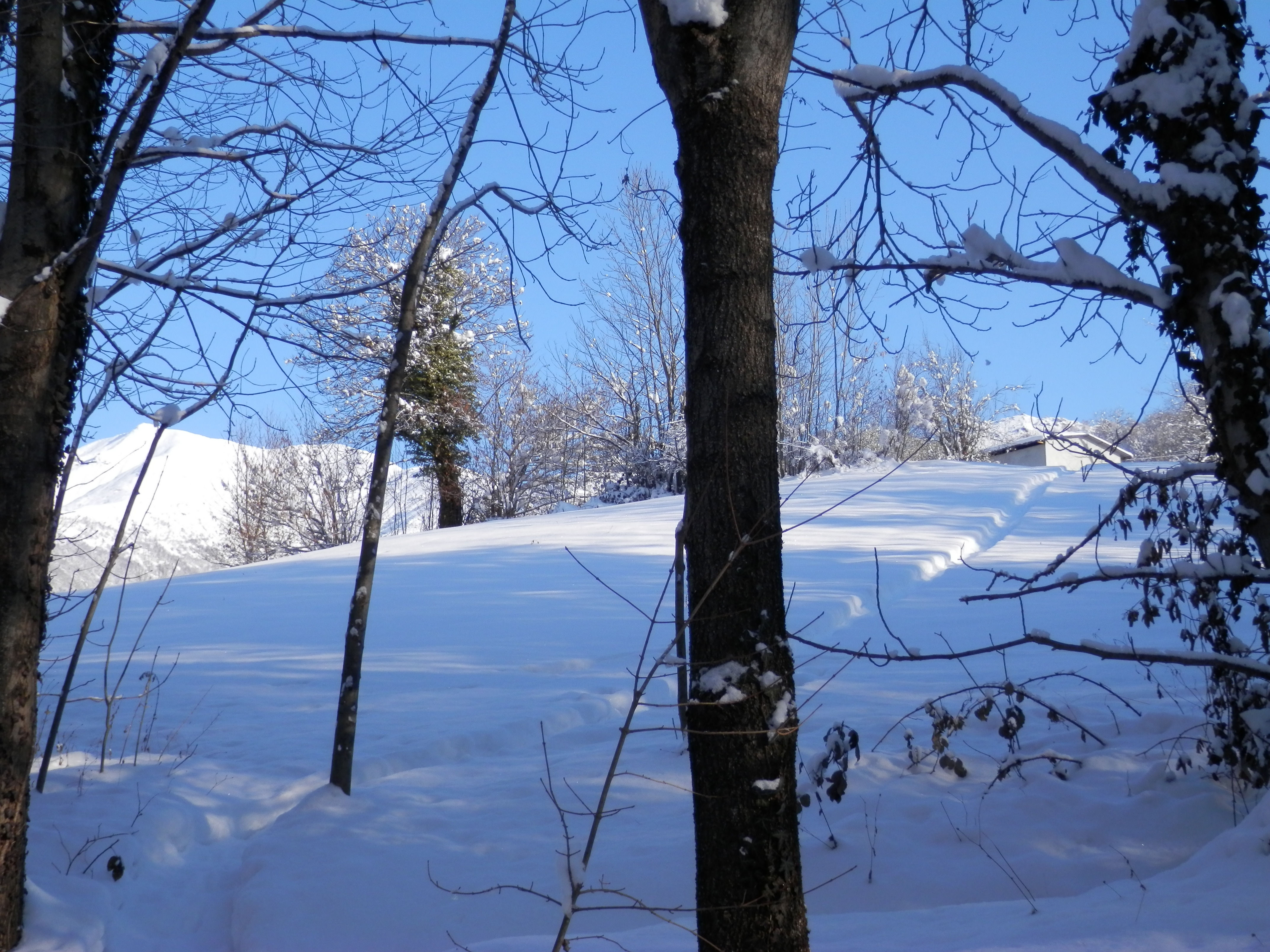 http://www.soledarte.it/images/lanzo/neve/neve_09.jpg