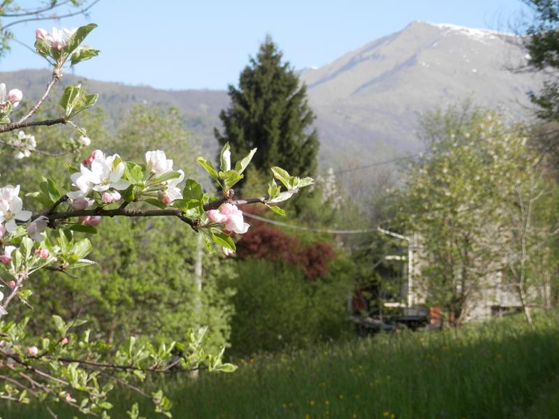 http://www.soledarte.it/images/lanzo/prati_colline/P4220006.jpg