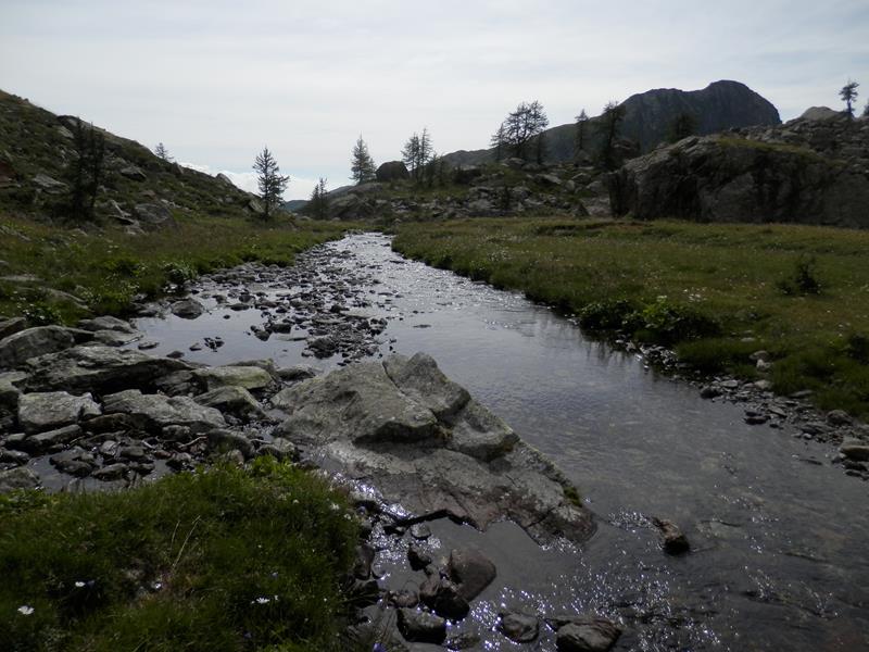 http://www.soledarte.it/images/lanzo/prati_colline/P7250031.jpg