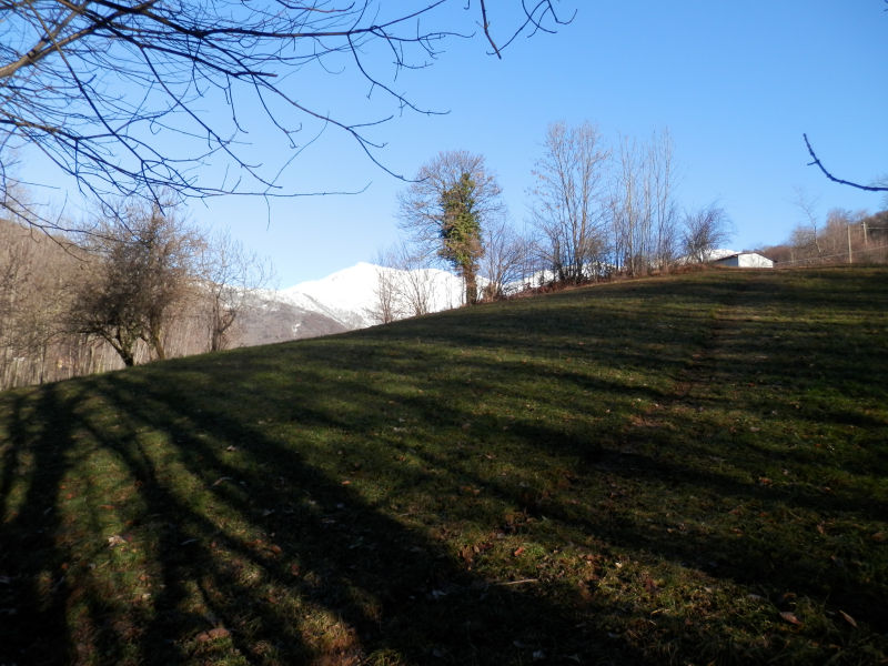 http://www.soledarte.it/images/lanzo/prati_colline/prati_colline_01.jpg