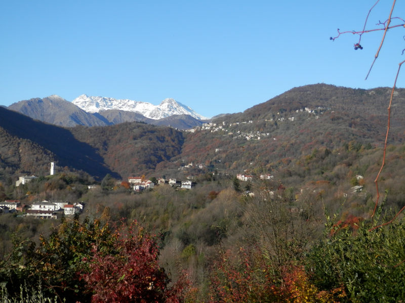 http://www.soledarte.it/images/lanzo/prati_colline/prati_colline_02.jpg