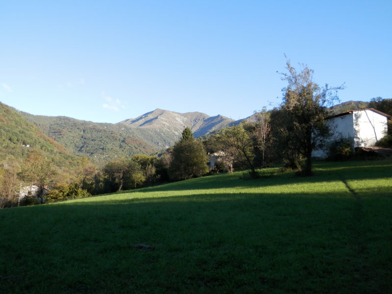 http://www.soledarte.it/images/lanzo/prati_colline/prati_colline_05.jpg