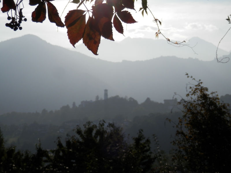 http://www.soledarte.it/images/lanzo/prati_colline/prati_colline_06.jpg