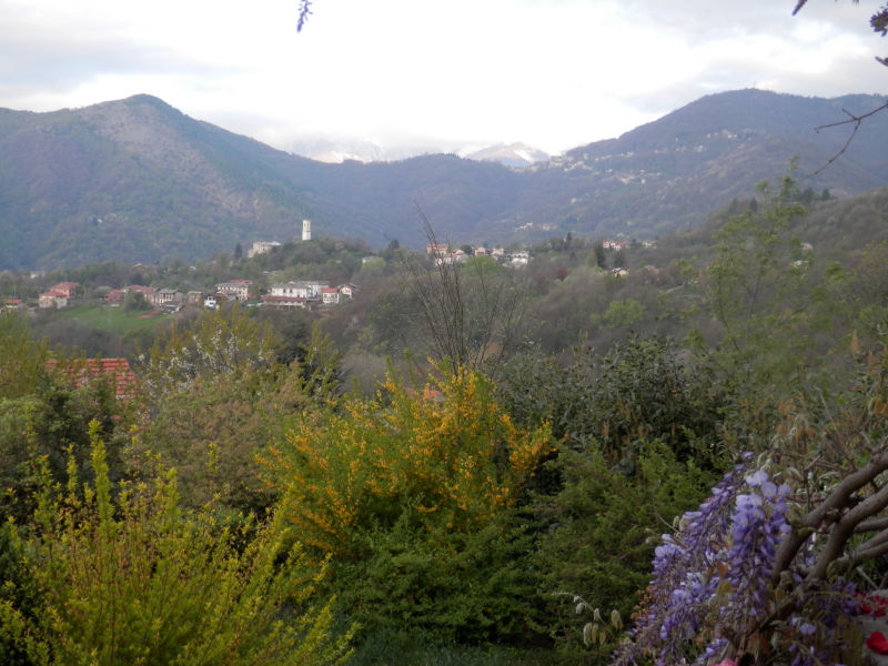 http://www.soledarte.it/images/lanzo/prati_colline/prati_colline_07.jpg