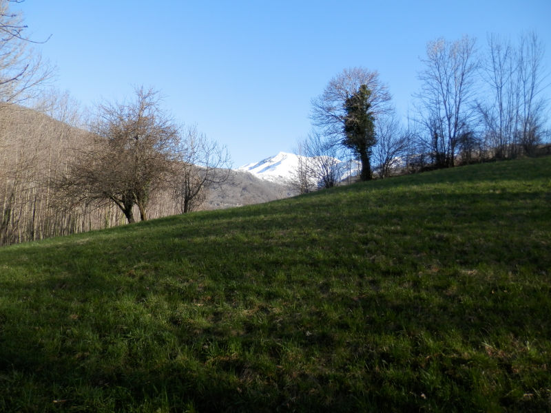 http://www.soledarte.it/images/lanzo/prati_colline/prati_colline_08.jpg