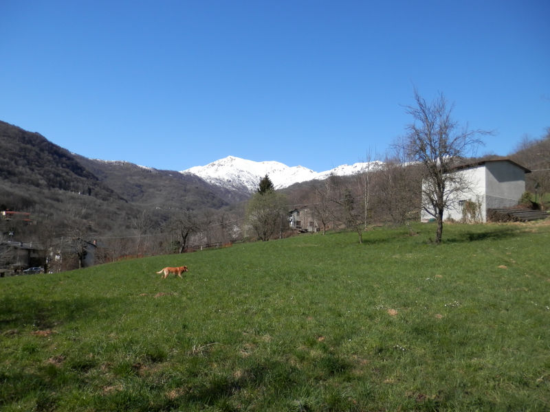 http://www.soledarte.it/images/lanzo/prati_colline/prati_colline_09.jpg
