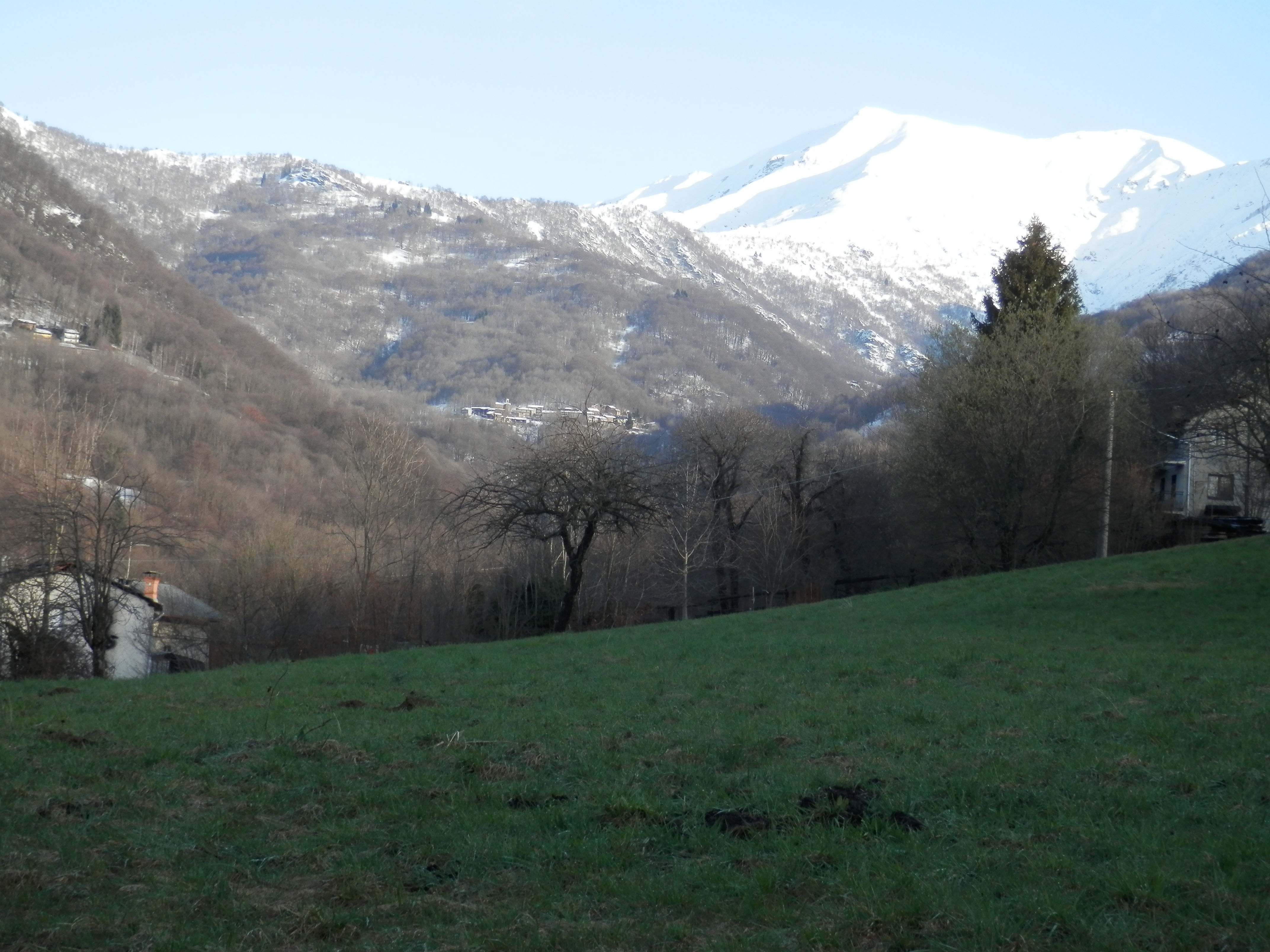 http://www.soledarte.it/images/lanzo/prati_colline/prati_colline_10.jpg